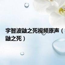 宇智波鼬之死视频原声(宇智波鼬之死)