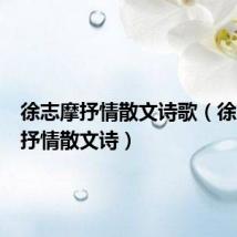 徐志摩抒情散文诗歌（徐志摩的抒情散文诗）