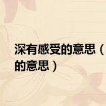 深有感受的意思（感受的意思）