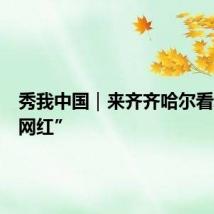 秀我中国｜来齐齐哈尔看动物“网红”