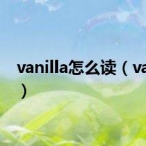 vanilla怎么读(vanilla)