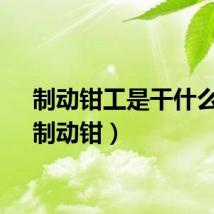 制动钳工是干什么的（制动钳）