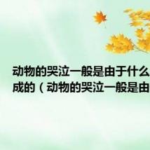 动物的哭泣一般是由于什么原因造成的(动物的哭泣一般是由于)