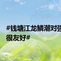 #钱塘江龙鳞潮对强迫症很友好#