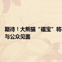 期待!大熊猫“福宝”将在12日与公众见面