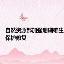 自然资源部加强珊瑚礁生态系统保护修复