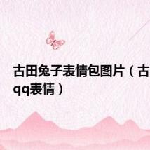 古田兔子表情包图片(古田兔子qq表情)