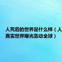 人死后的世界是什么样(人死后的真实世界曝光轰动全球)