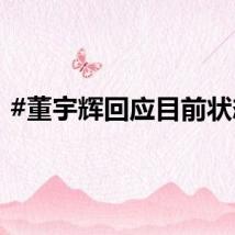 #董宇辉回应目前状态#