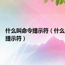 什么叫命令提示符（什么是命令提示符）