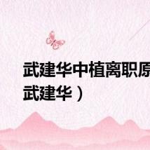 武建华中植离职原因（武建华）