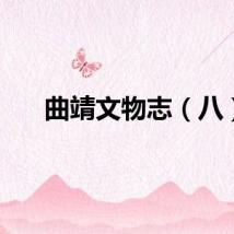 曲靖文物志（八）