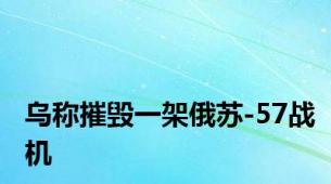 乌称摧毁一架俄苏-57战机