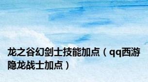 龙之谷幻剑士技能加点（qq西游隐龙战士加点）