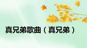 真兄弟歌曲（真兄弟）