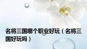 名将三国哪个职业好玩（名将三国好玩吗）