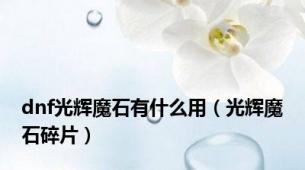 dnf光辉魔石有什么用（光辉魔石碎片）