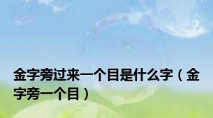 金字旁过来一个目是什么字（金字旁一个目）