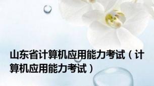 山东省计算机应用能力考试（计算机应用能力考试）