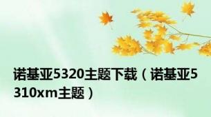 诺基亚5320主题下载（诺基亚5310xm主题）