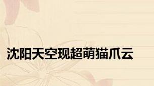 沈阳天空现超萌猫爪云