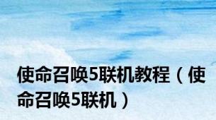 使命召唤5联机教程（使命召唤5联机）