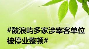 #鼓浪屿多家涉宰客单位被停业整顿#