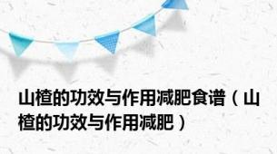 山楂的功效与作用减肥食谱（山楂的功效与作用减肥）