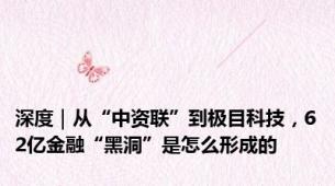深度｜从“中资联”到极目科技，62亿金融“黑洞”是怎么形成的
