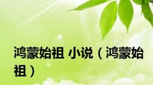 鸿蒙始祖 小说（鸿蒙始祖）