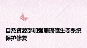 自然资源部加强珊瑚礁生态系统保护修复