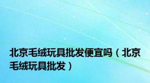 北京毛绒玩具批发便宜吗（北京毛绒玩具批发）