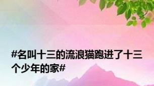 #名叫十三的流浪猫跑进了十三个少年的家#