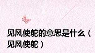 见风使舵的意思是什么（见风使舵）