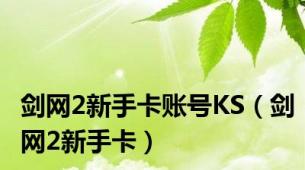 剑网2新手卡账号KS（剑网2新手卡）