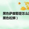 黑色萨摩耶是怎么回事（黑色松狮）