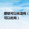 蟾蜍可以祛湿吗（蟾蜍可以吃吗）