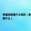 幸福到底是什么电影（幸福到底是什么）