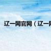 辽一网官网（辽一网）