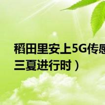 稻田里安上5G传感器（三夏进行时）