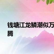 钱塘江龙鳞潮似万马奔腾