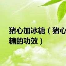 猪心加冰糖（猪心炖冰糖的功效）