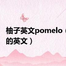 柚子英文pomelo(柚子的英文)