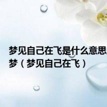 梦见自己在飞是什么意思周公解梦(梦见自己在飞)