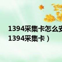 1394采集卡怎么安装(1394采集卡)