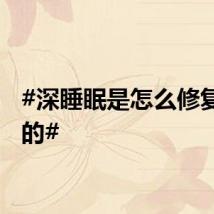 #深睡眠是怎么修复身体的#