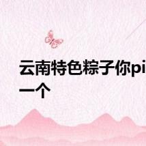 云南特色粽子你pick哪一个