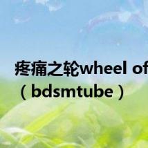 疼痛之轮wheel of pain(bdsmtube)