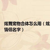 炫舞宠物合体怎么用(炫舞宠物情侣名字)