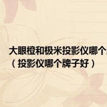 大眼橙和极米投影仪哪个牌子好(投影仪哪个牌子好)